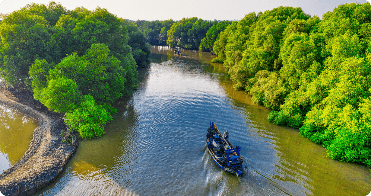 Imagem do Rio Amazonas